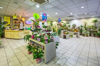 Fleuriste Le Jardin des Fleurs 0