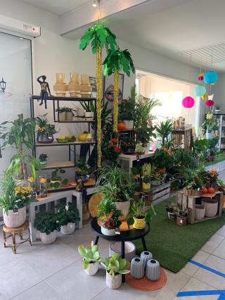 Fleuriste La Gayotte Fleurie 2