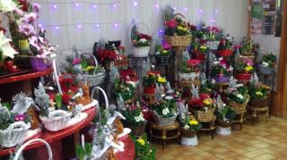 Fleuriste Au Jardin d'Eden 0