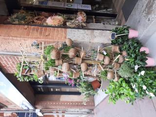 Fleuriste Greg - Artisan Fleuriste Toulouse 1