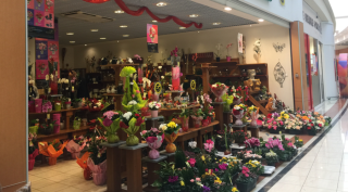 Fleuriste EDEN FLEURS 1