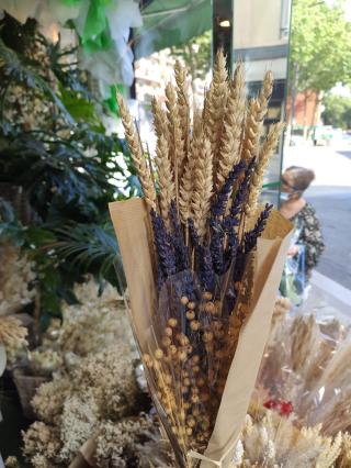 Fleuriste Belaflora 2