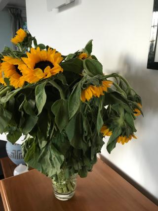 Fleuriste Belaflora 0