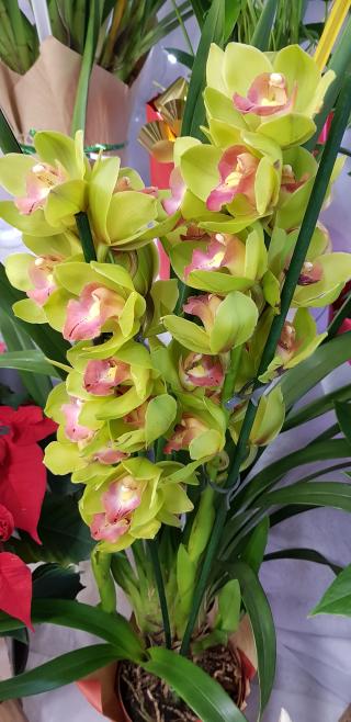 Fleuriste Atelier Fleurs et Déco 0