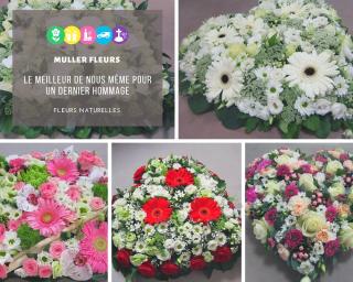 Fleuriste MULLER FLEURS 0