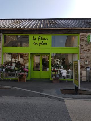 Fleuriste La Fleur en Plus 0