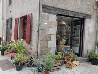 Fleuriste Saint Germain des Fleurs 0