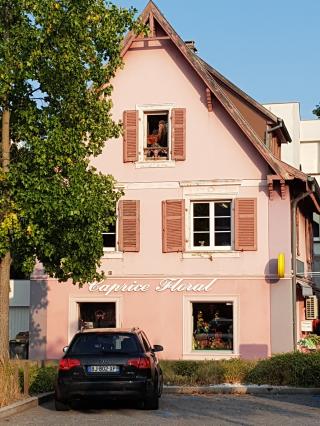 Fleuriste CAPRICE FLORAL 0