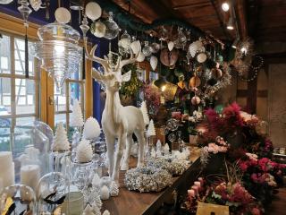 Fleuriste J'Ai Descendu Dans Mon Jardin 0