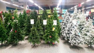 Fleuriste Truffaut 0