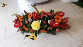 Fleuriste Funé Erop 0