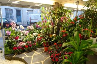 Fleuriste La Riviera 0