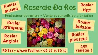 Fleuriste Ets da Ros - Roseraie Lot et Garonne Aquitaine 0