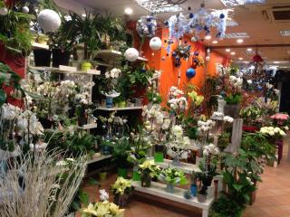 Fleuriste Monceau Fleurs 2