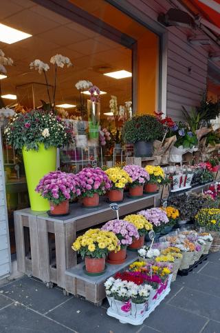 Fleuriste Sofia Fleurs et Décorations-Cauchoise 0