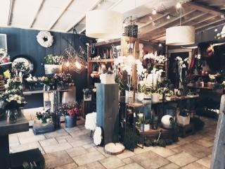 Fleuriste A fleur de pot 1