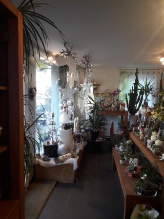 Fleuriste Eclat de Vert 0