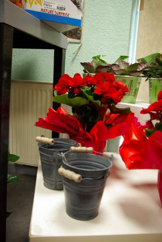 Fleuriste Pistyle & Ta Mine 0