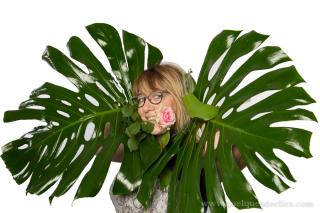 Fleuriste Claire Fleurs 0