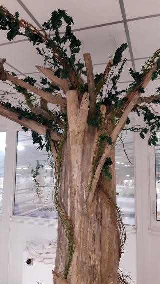 Fleuriste Colette Arts et Matières/ végétal stabilisé: tableaux, composition florale, mur végétal 0