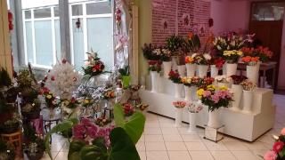 Fleuriste Maria Fleurs 1