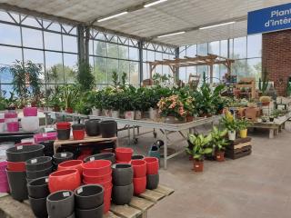 Fleuriste Côté Nature Cambrai 0