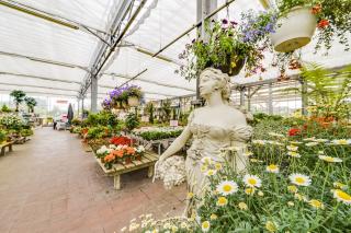 Fleuriste Côté Nature Cambrai 0