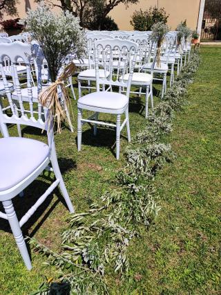Fleuriste Lionel Canton, Artisan Fleuriste Marseille 5 ème 1