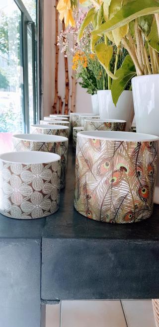 Fleuriste Lionel Canton, Artisan Fleuriste Marseille 5 ème 2