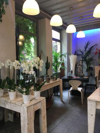 Fleuriste Les Jardins de Saint Pierre 0