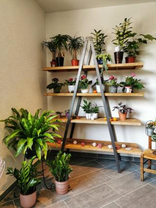 Fleuriste Pimprenelle - Artisan Fleuriste 0