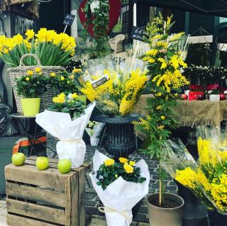 Fleuriste DELIBES FLEURS 0