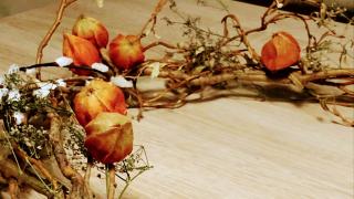 Fleuriste Arum fleurs 0