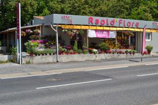 Fleuriste TOUJOURS DES FLEURS by DIGNE DE FLEURS 0