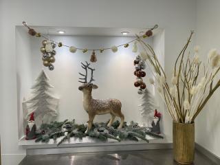 Fleuriste Carrément Fleurs - Fleuriste Marmande 47 - Livraison de fleurs à domicile 0