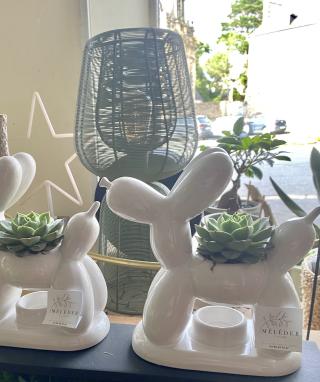 Fleuriste Meleder Fleurs 0