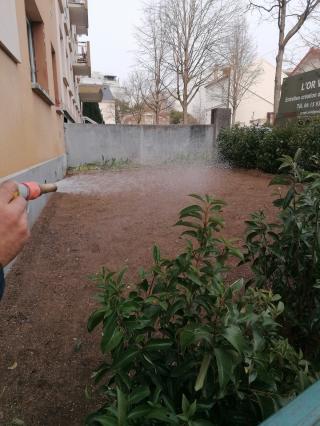 Fleuriste L'Or Vert 2