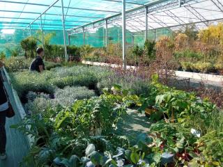 Fleuriste Jardinerie-Moulin Saint Estève 0