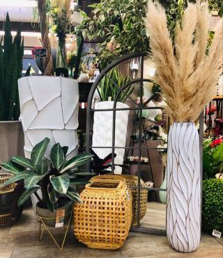 Fleuriste Amaryllis 0