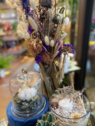 Fleuriste ABELIA DECO 1