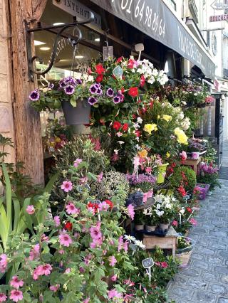 Fleuriste Pluie de Fleurs, Gilles Saison Artisan Fleuriste 0