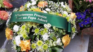 Fleuriste Les Serres de L'Isle-Adam 2