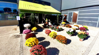 Fleuriste Easy Fleurs 0