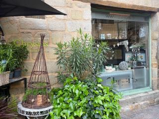 Fleuriste Chrysiris fleurs Figeac 0