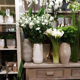 Fleuriste Jolie Rose 0