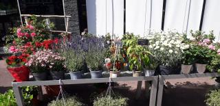 Fleuriste Amour de Fleurs by Jonathan G 0