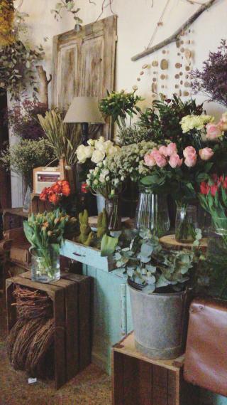 Fleuriste Patchouli 0