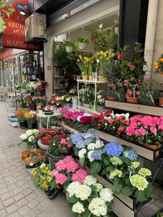 Fleuriste Vert'Tiges 0