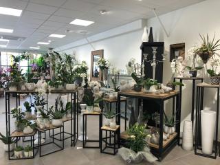 Fleuriste AUX ROSES - ANATO FLEURS 1