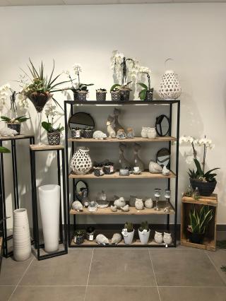 Fleuriste AUX ROSES - ANATO FLEURS 0